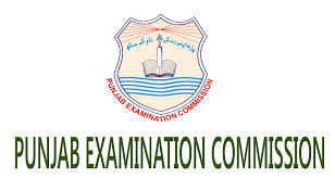 PEC 8th Class All Subjects Model Papers PDF for Grade 8 Exams 2024