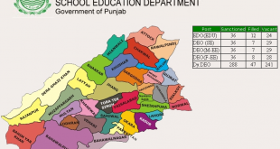 Check Online Payslip All Govt of Punjab Employees Details Teachers