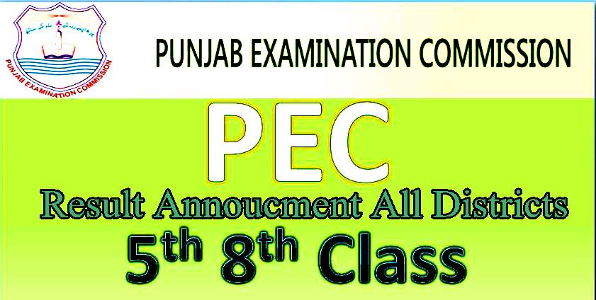 Punjab 5th 8th Class Result 2024 Online PEC.EDU.PK Punjab Examination Commission