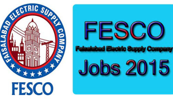 Wapda FESCO Faisalabad ALM Govt Jobs 2024 FSD Application Form Eligibility Last Date