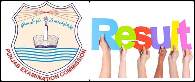 Enter Roll Number and Get 8th Class Result 2024 of PEC