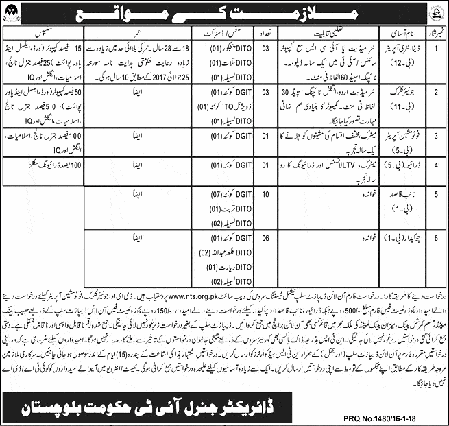 Directorate General Of Information Technology Balochistan NTS Jobs 2024 Application Form