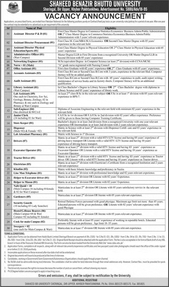 Shaheed Benazir Bhutto University SBBU Sheringal Jobs 2024 Apply Form