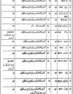 Narowal Health Department Jobs 2024 Terms and Conditions Requirements