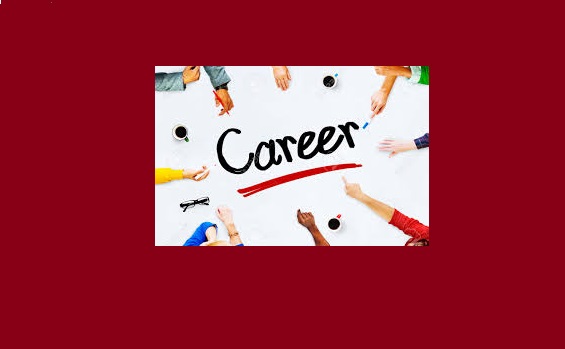 Career Options After MS or MPhil Programs