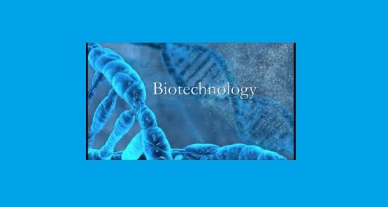 Career and Scope After Biotechnology in Pakistan