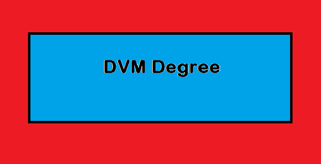 Career and Scope After DVM Doctor of Veterinary Medicine in Pakistan