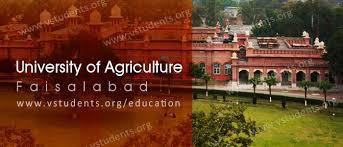 University of Agriculture Faisalabad UAF Entry Test 2024 Dates Venue Sample Paper