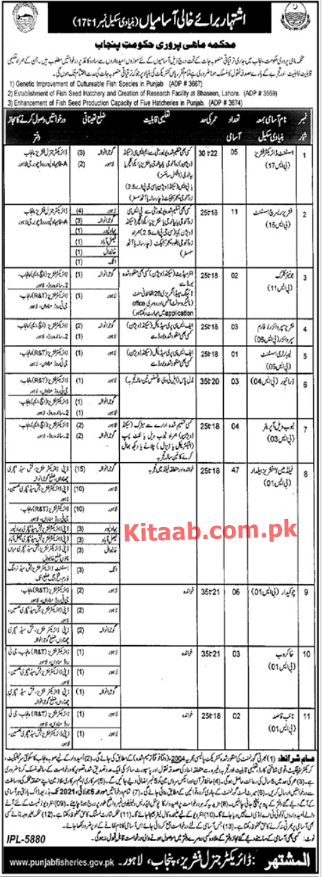 Punjab Fisheries Department Jobs 2024 Application Form Eligibility Criteria Last Date