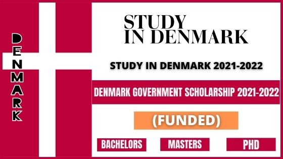 Denmark Government Scholarships 2024 How to Apply Online Eligibility Criteria Last Date