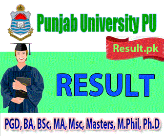 PU BA BSc B.Com Results 2023 Part I & II Annual Exam Gazette CD’s ...