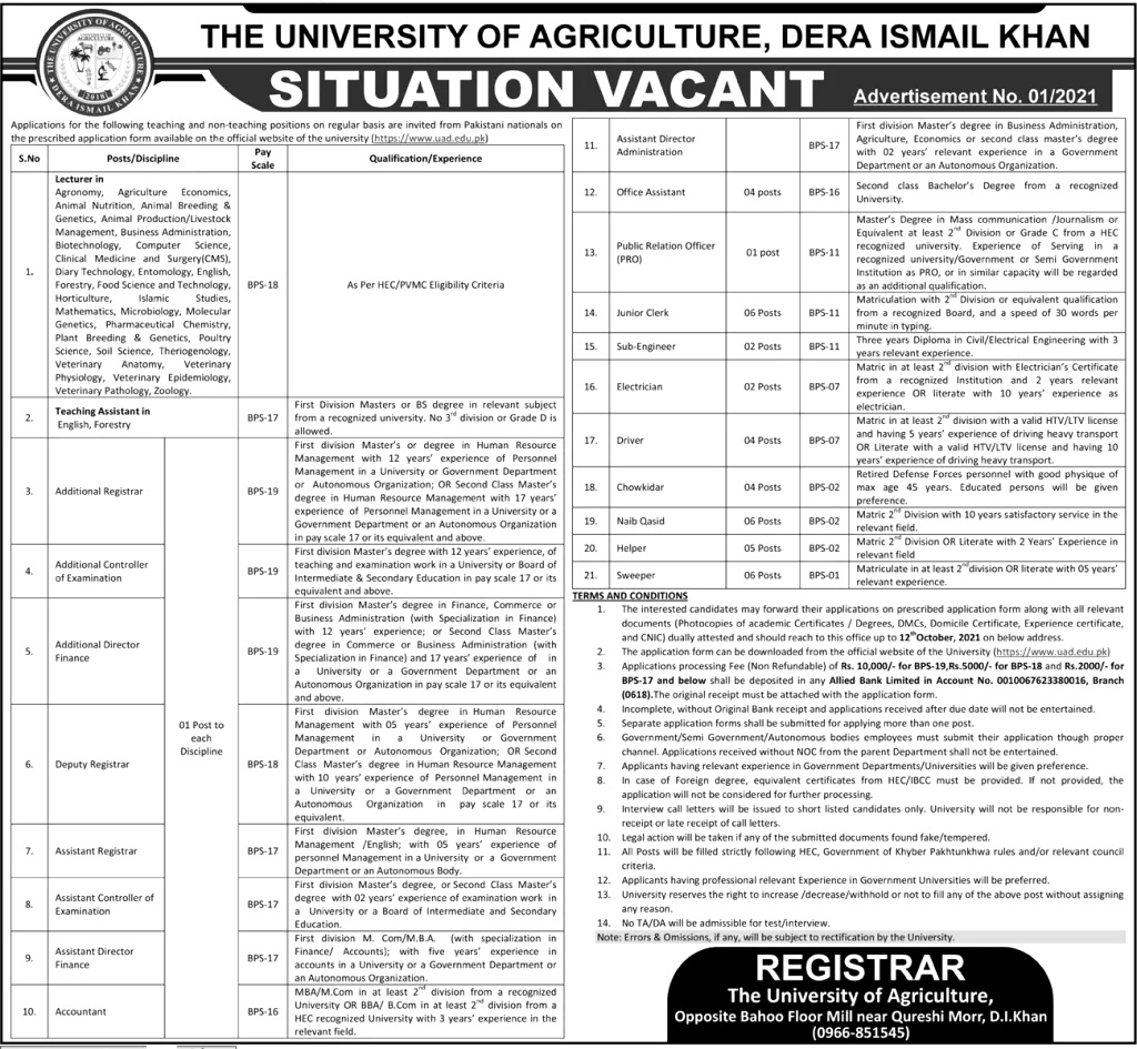 University of Agriculture Dera Ismail Khan Jobs 2024 Eligibility Criteria Apply Procedure