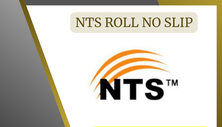 National Testing Service Jobs 2024 Online Roll No Slip Download